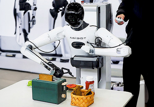 Embodied AI Data Solution